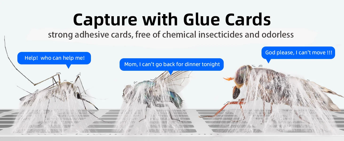 Piège à insectes volants, piège à mouches pour intérieur, piège à moustiques-US PLUG