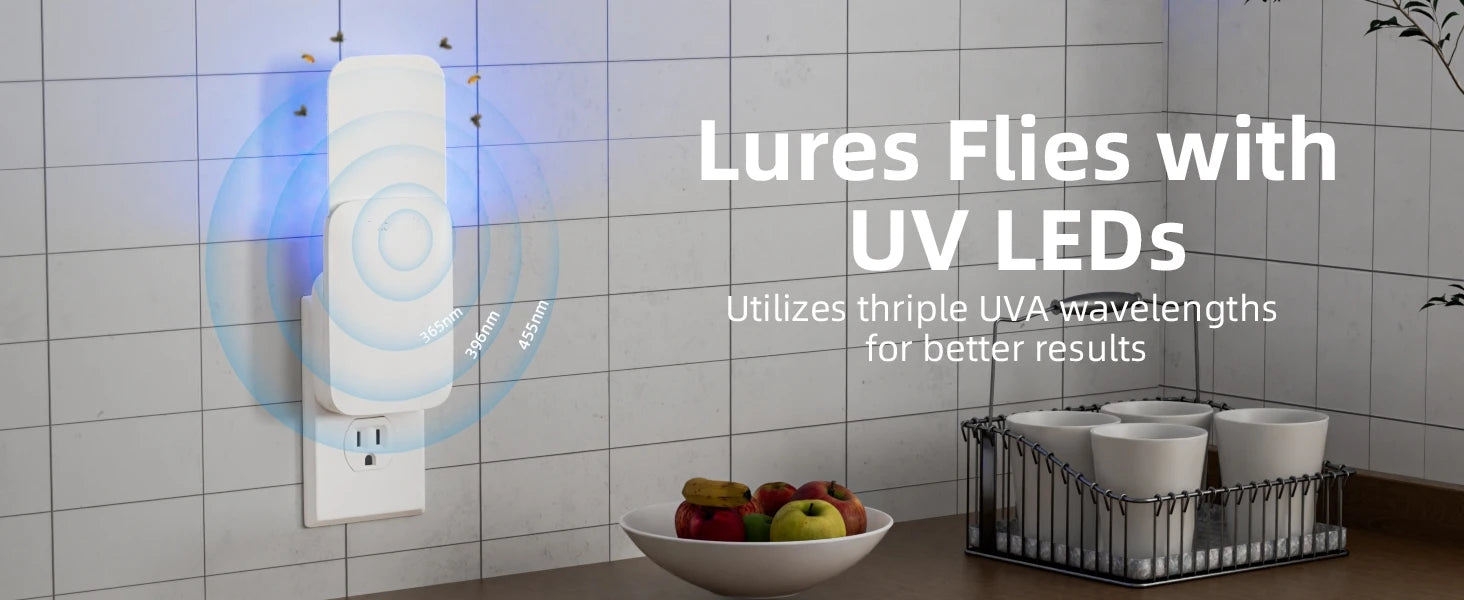 Piège à insectes volants, piège à mouches pour intérieur, piège à moustiques-US PLUG