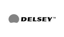 Logo de notre partenaire DELSEY